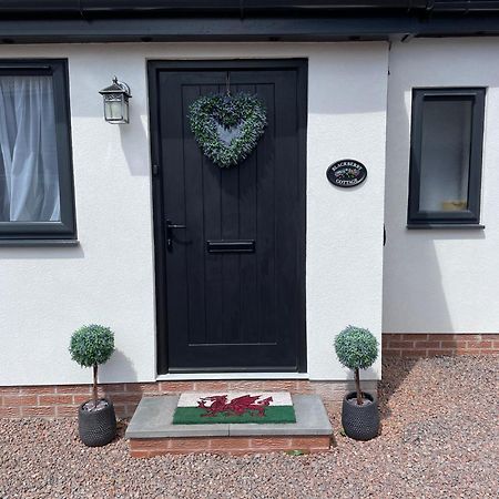Blackberry Cottage Cardiff Extérieur photo